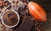 Любимият десерт на света: Неподозирани факти за шоколада