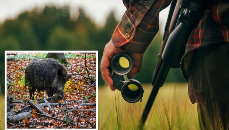 ловец - Ловци свалят пушките за два месеца