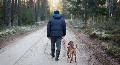 разходка с куче