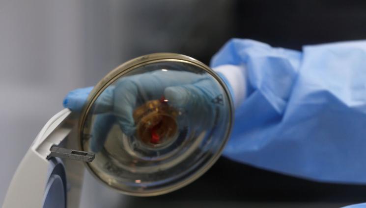 Биоритъм - БИОРИТЪМ: Ужасяващият вирус-мутант Флуорна настъпва на Балканите