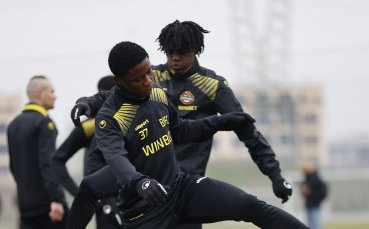 Ботев Пловдив замина за подготвителен лагер в Дубай Там канарчетата