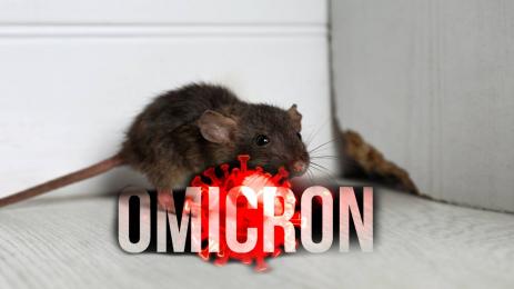 Омикрон