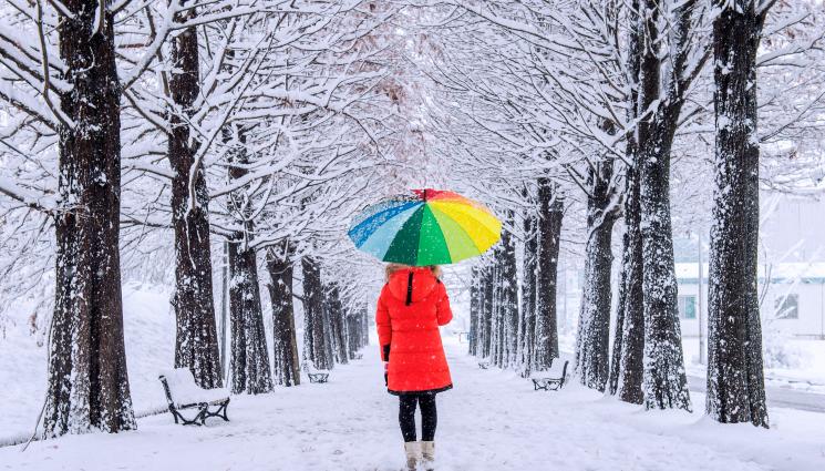 Уикенд - Скучна зима, цветно палто (КАК ДА ИЗБЕРЕМ ПРАВИЛНОТО)