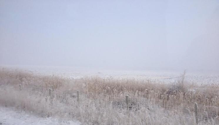 Агро - Агро Телеграф: Сняг и дъжд ще напоят почвата
