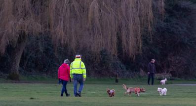 кучета парк