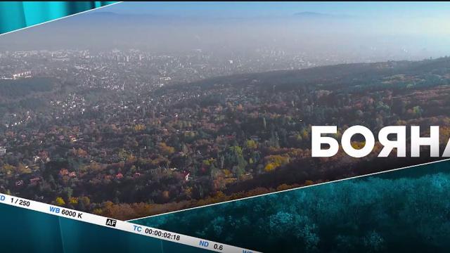 „5 минути София – кварталите“: Бояна (ВИДЕО)