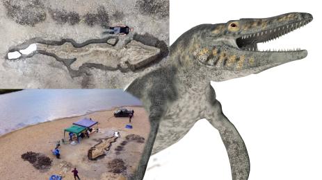 ихтиозавър