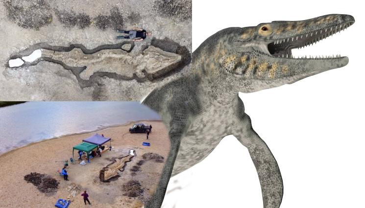 ихтиозавър - Най-големият морски дракон изплува от езеро във Великобритания – всички ще могат да го видят