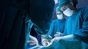 Американски хирурзи успешно трансплантираха за първи път генетично модифицирано сърцеот