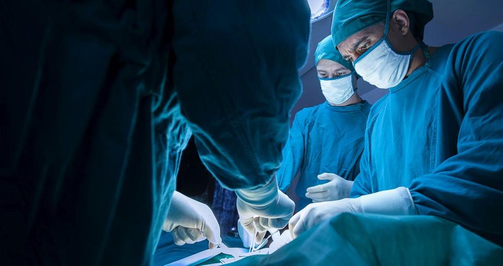 Хирурзи от Нюйоркския университет успешно са направили трансплантации на свински