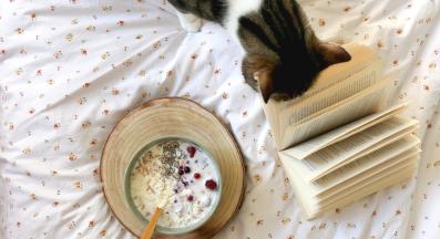 котка и закуска в леглото