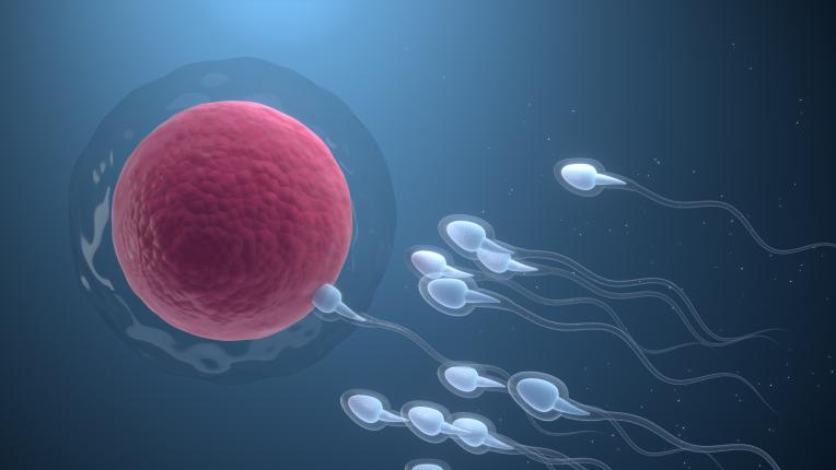  Отговори на ТЕСТ: Нямаш право да се проваляш на тези въпроси, в случай че си над 18! 