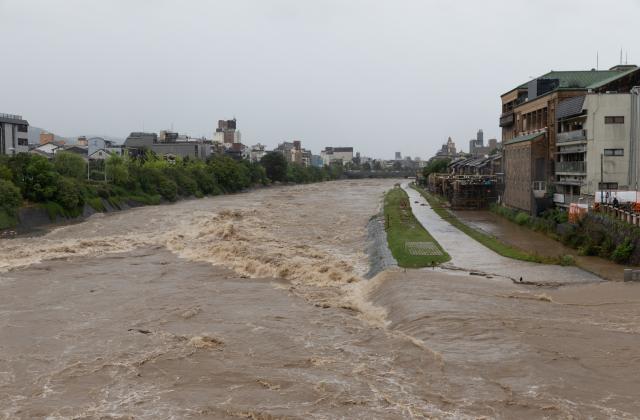 306 276 лева е отпуснатата и изплатена помощ от държавата