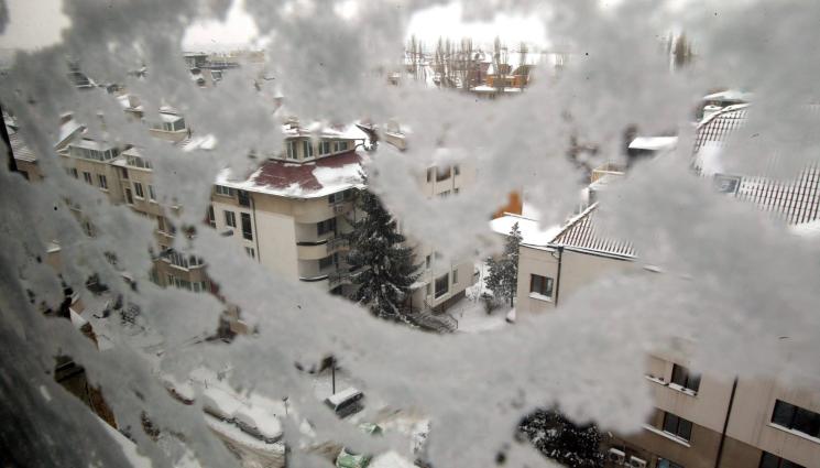 Биоритъм - БИОРИТЪМ: Открехнатият прозорец спасява от вируси