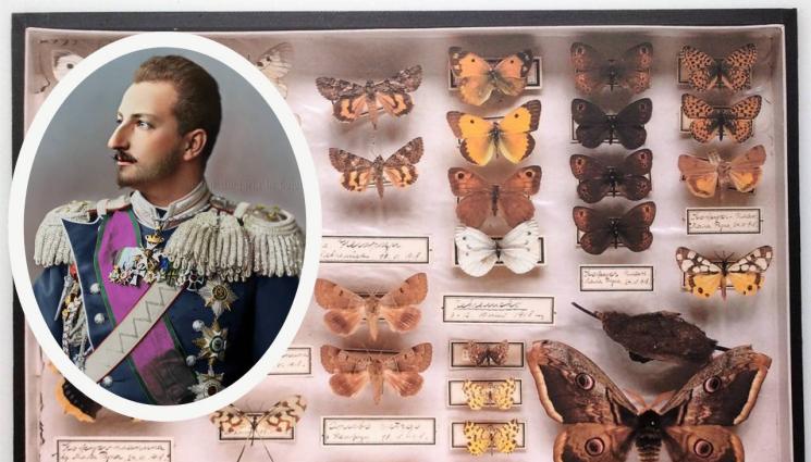 j - Показват пеперудите на Фердинанд, царят отглеждал 210 вида папагали