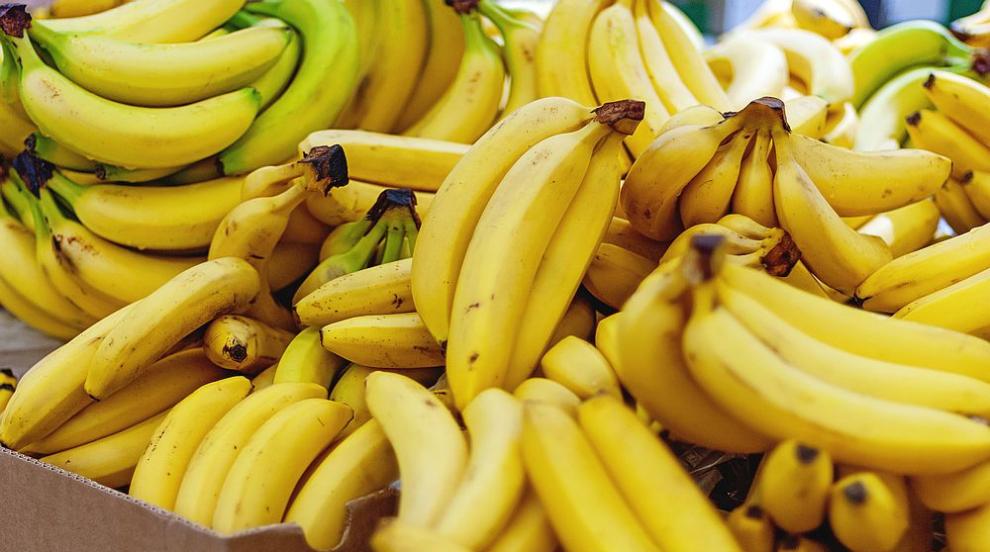 В няколко магазина в Германия откриха кокаин в кашони с банани