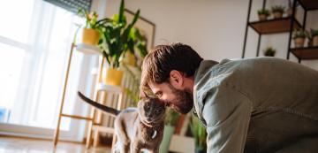 6 начина, по които котката ви комуникира с вас