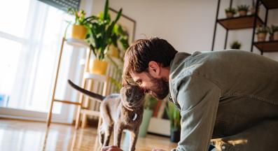 котка комуникира с хора