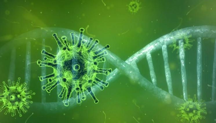 коронавирус - ОТКРИТИЕ: Неандерталски ген ни пази от тежък COVID-19