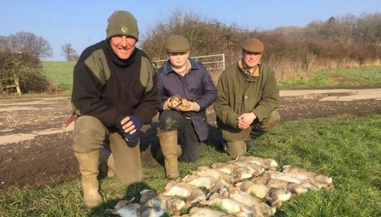 Агро - Агро Телеграф: Вини Джоунс гледа 103 крави