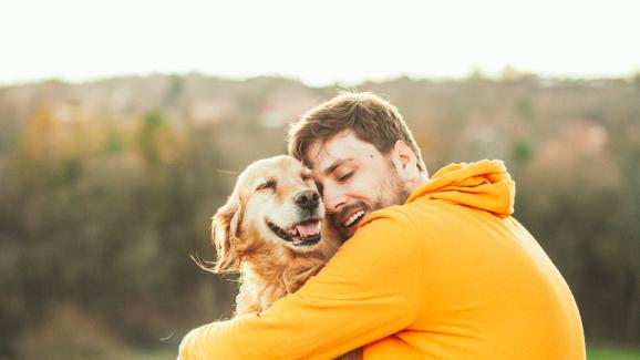 10 неща, които знаят само хората, които споделят дома си с куче