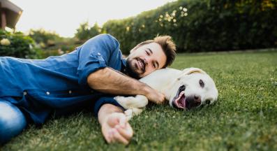 щастливо куче