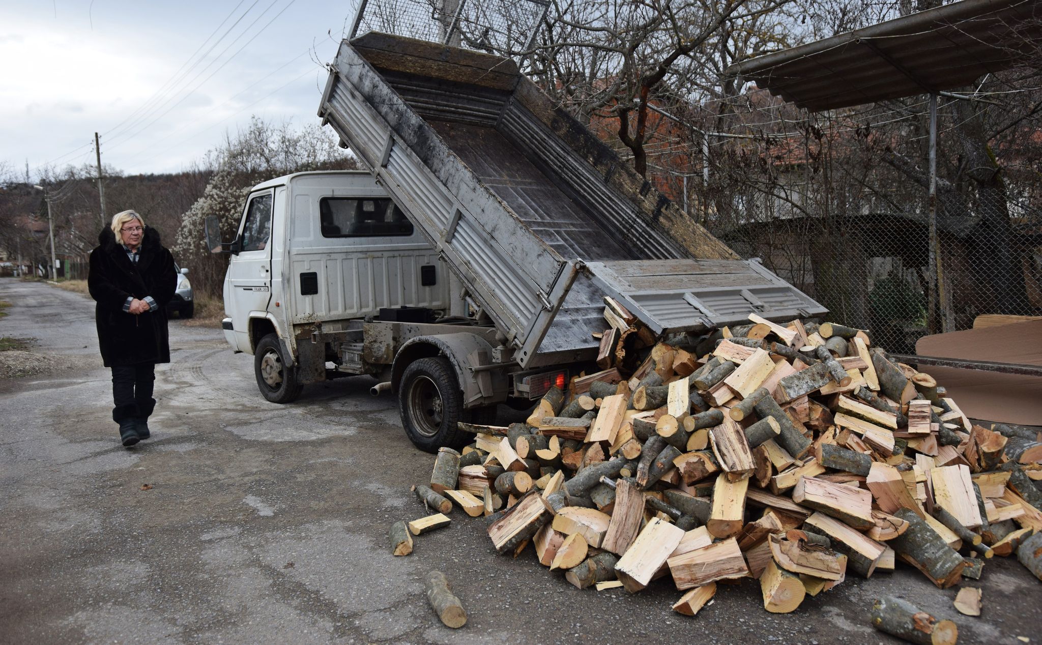 Вася Валентинова
