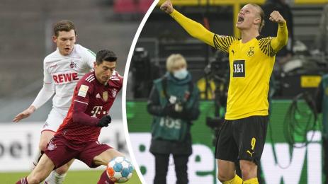 Левандовнски Холанд