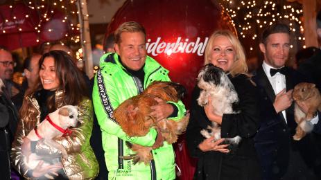 Памела андерсън