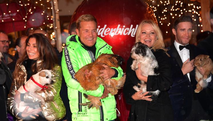 Памела андерсън - Памела Андерсън се развежда само след година съвместен живот