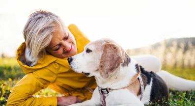 възрастно куче