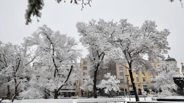 Под снежен похлупак: Зимни пейзажи разкрасиха София (СНИМКИ)
