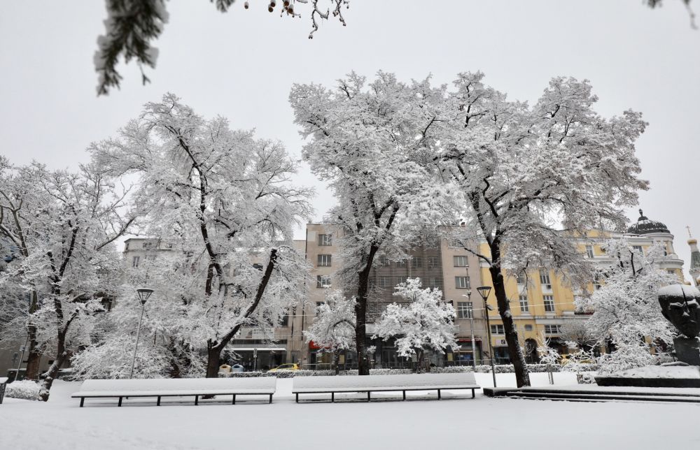 Зимна София: Снегът радва малки и големи