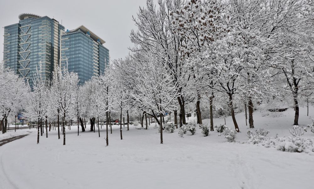 Зимна София: Снегът радва малки и големи