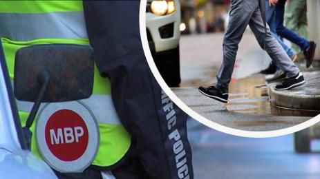 пътна полиция пешеходци