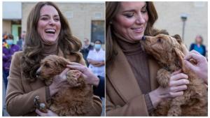 Приятели от пръв поглед: Кейт се влюби в кученце с цвета на палтото й (СНИМКИ)