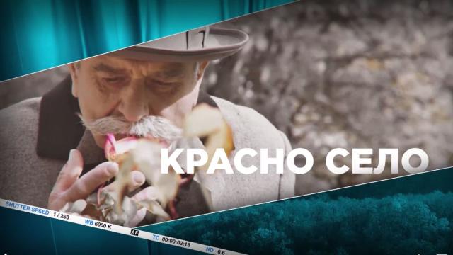 „5 минути София – кварталите“: Красно село (ВИДЕО)