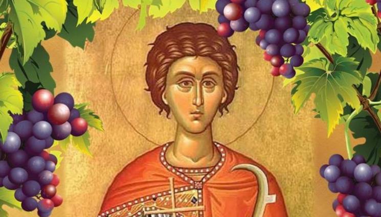 вяра - ВЯРА: На Трифоновден избират Цар на лозята