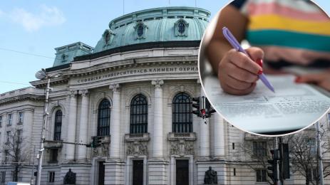 университет