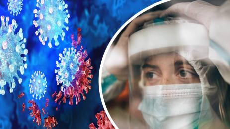 коронавирус омикрон