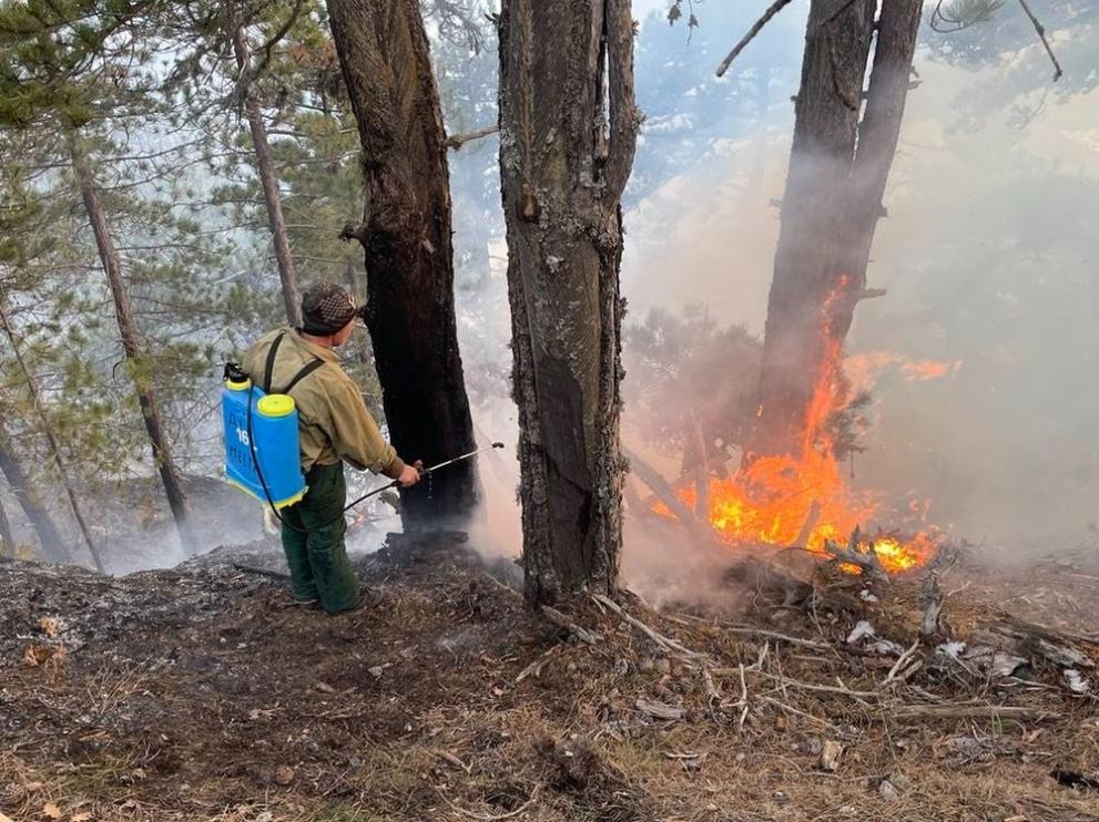 Избухналият в неделя над Банско пожар е напълно потушен, съобщиха