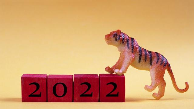 Започва годината на Черния воден тигър по китайския календар