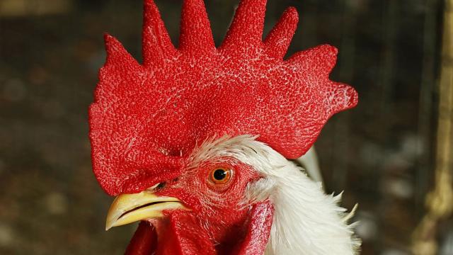 Честваме един от 12-те велики празници през годината