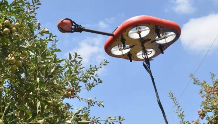 ХайТех - Дрон заменя берачите на плодове
