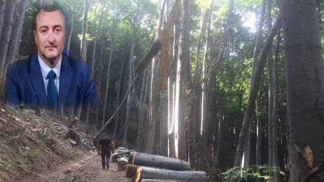 Атанас Добрев