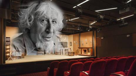 Радой Ралин