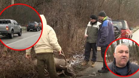 елен автобус