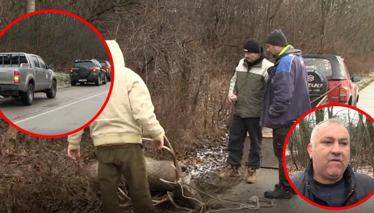 елен автобус - 200-килограмов елен се блъсна в рейс с ученици и загина