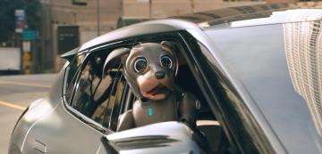 <p>Кученцето Robo на дясната седалка отпред в Kia EV6.</p>
