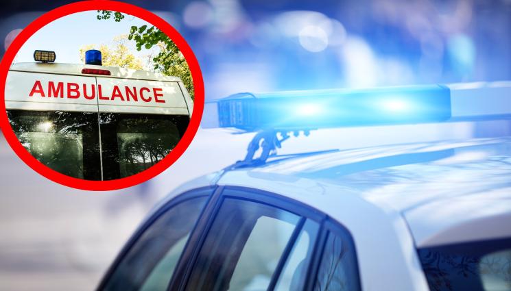 катастрофа линейка - АД НА ПЪТЯ: Автобус се преобърна край Берлин, има ранени